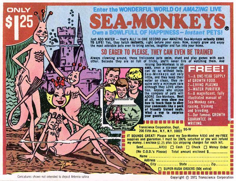 Sea-Monkeys