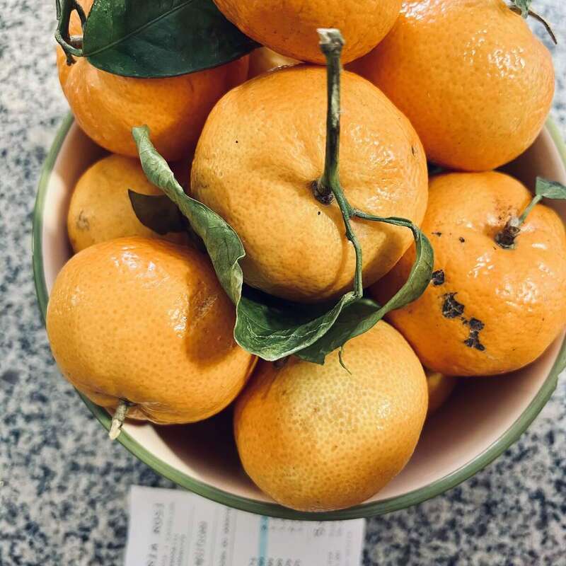 Foto zenital d'unes mandarines en un bol